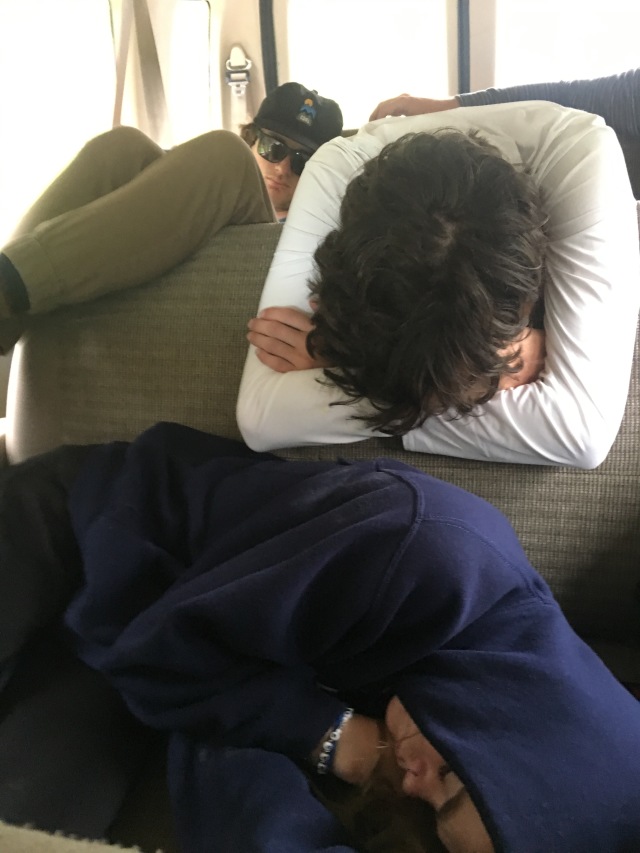 2019-07-12 07-50th-anniversary-cruise-Seward-to-Anchorage-52-Vale-Dax-Kyla-sleeping.JPG